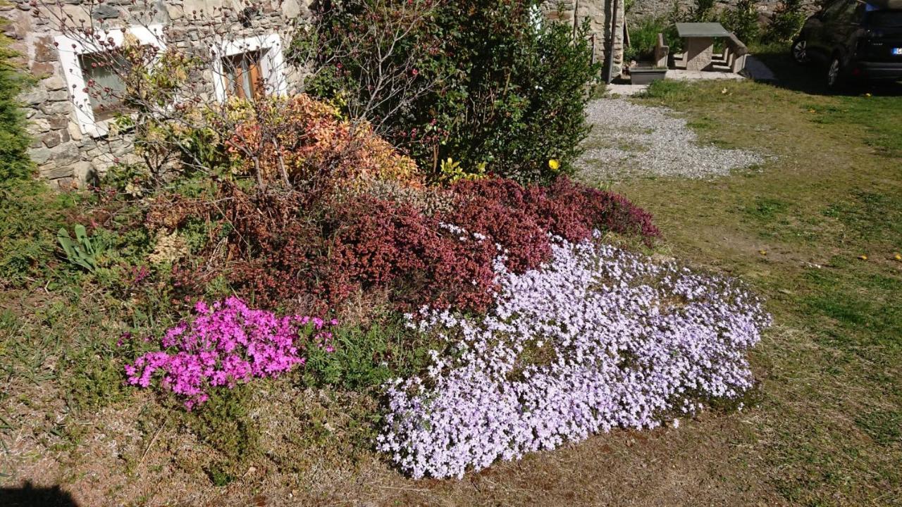 Casa Delle Rose Villa Teglio Exteriör bild