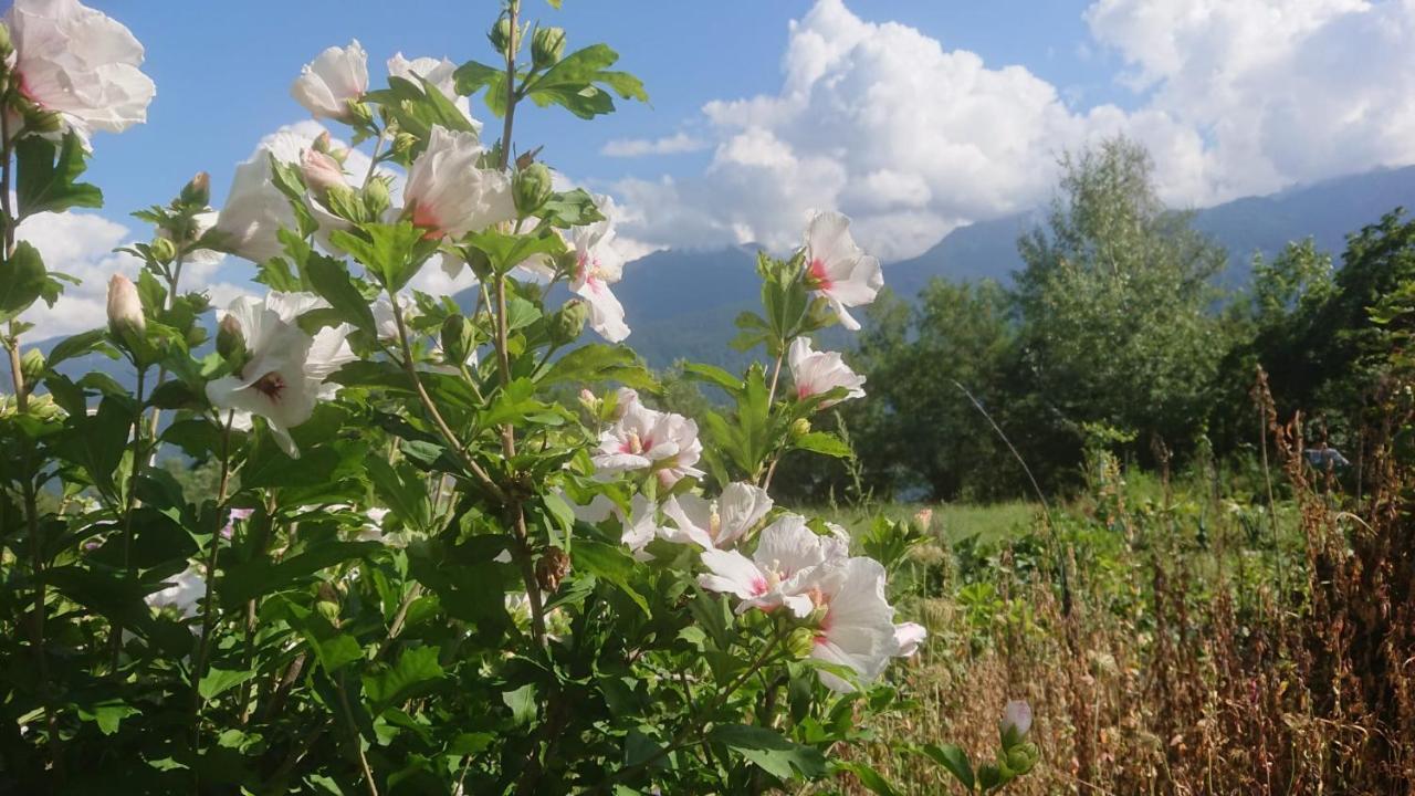 Casa Delle Rose Villa Teglio Exteriör bild
