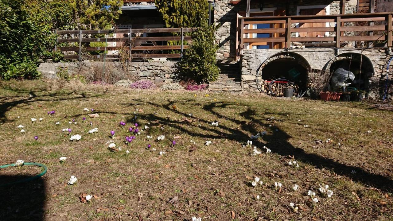 Casa Delle Rose Villa Teglio Exteriör bild