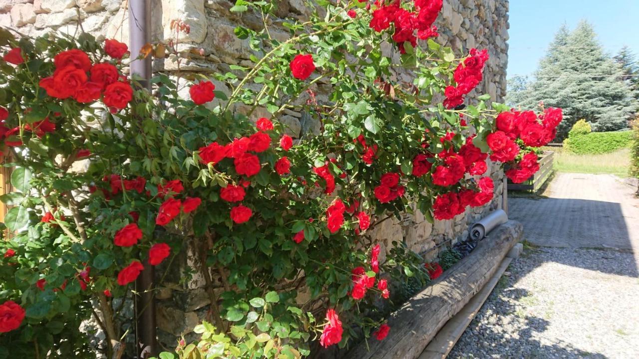 Casa Delle Rose Villa Teglio Exteriör bild