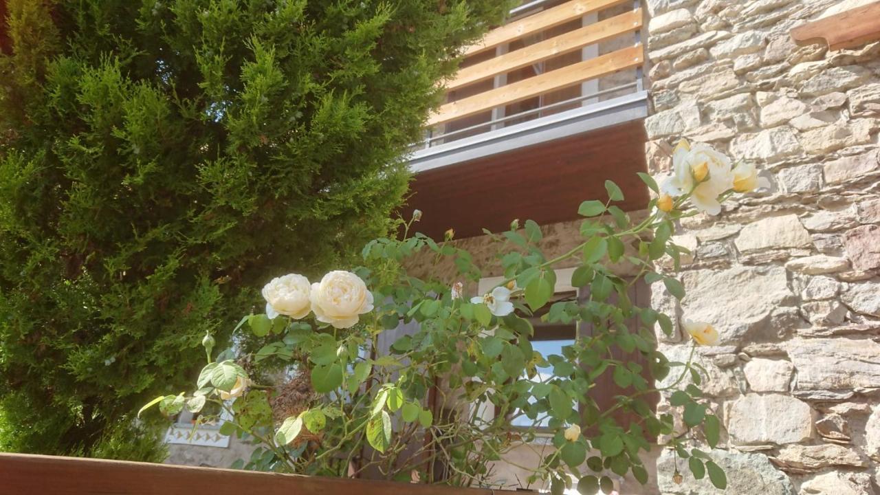 Casa Delle Rose Villa Teglio Exteriör bild