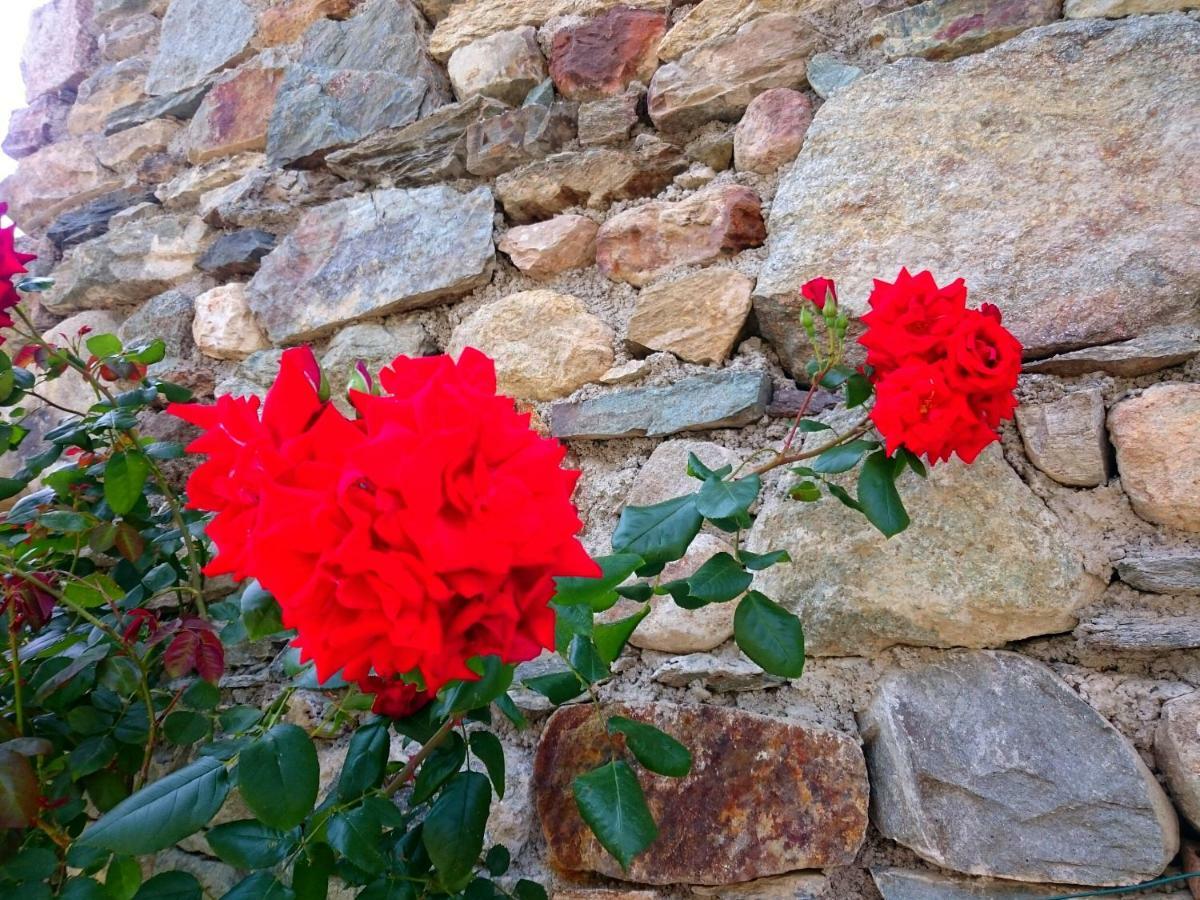 Casa Delle Rose Villa Teglio Exteriör bild
